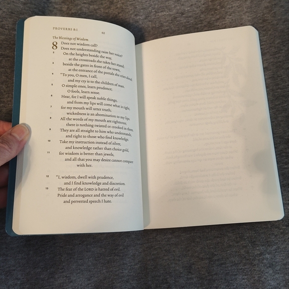 Illuminated Scripture Journal, Proverbs, NWT - Picture 3 of 3